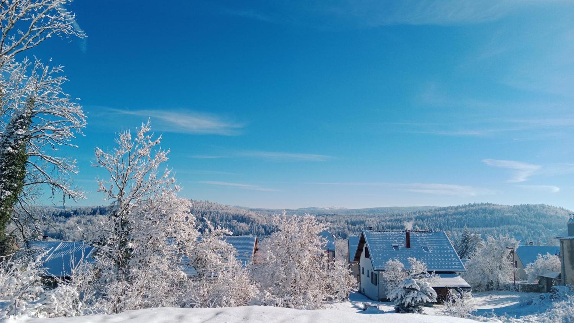 Gite Des Roches La Chaux-du-Dombief Экстерьер фото